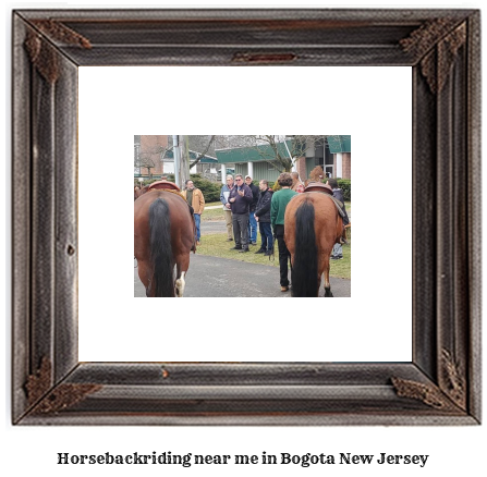 horseback riding near me in Bogota, New Jersey